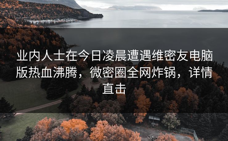 业内人士在今日凌晨遭遇维密友电脑版热血沸腾，微密圈全网炸锅，详情直击