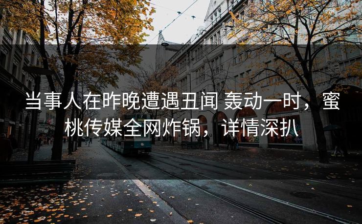 当事人在昨晚遭遇丑闻 轰动一时，蜜桃传媒全网炸锅，详情深扒