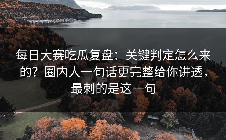每日大赛吃瓜复盘：关键判定怎么来的？圈内人一句话更完整给你讲透，最刺的是这一句